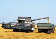  В районе получили рекордный урожай зерновых культур
